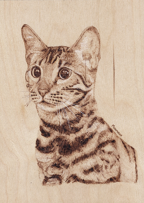 Bengal Cat Portrait Zip Pouch by Nailia Schwarz - Pixels Merch
