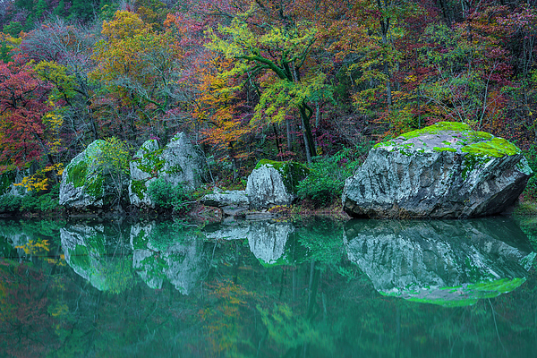 Reflection Art
