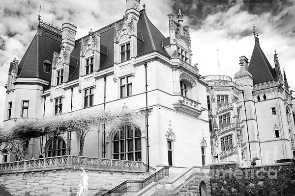 https://images.fineartamerica.com/images/artworkimages/medium/1/biltmore-estates-biltmore-mansion-biltmore-black-white-prints-kathy-fornal.jpg