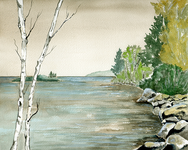 Birches By The Lake Painting