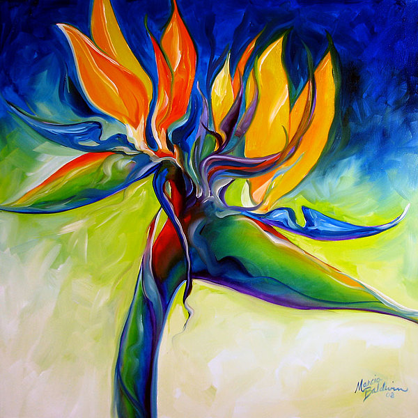 Bird Of Paradise 24 Greeting Card For Sale By Marcia Baldwin