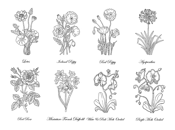 5 Petal Flower Clip Art | Flower coloring pages, Christmas coloring pages,  Flower line drawings