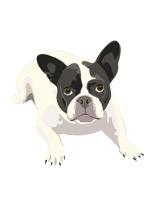 Digital illustration of a Louis Vuitton French Bulldog. Technique:  Photoshop. DesignGeo