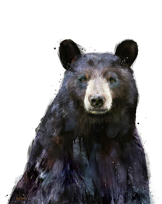 https://images.fineartamerica.com/images/artworkimages/medium/1/black-bear-amy-hamilton.jpg