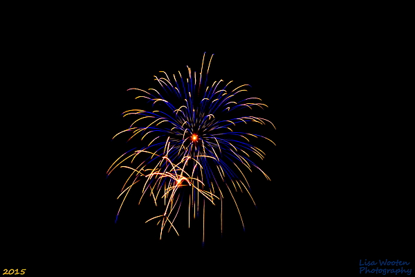 Lisa Wooten - Blue and Gold Fireworks