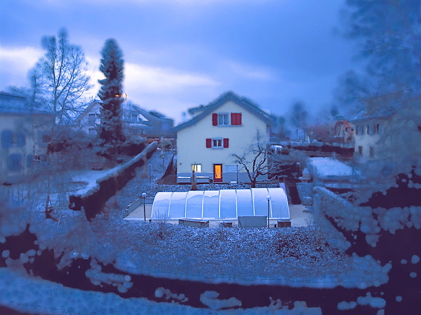 Winter Photographs