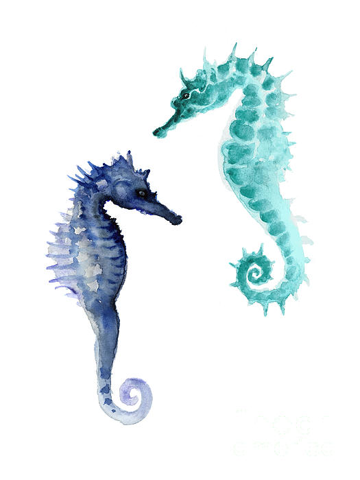 Seahorses For Life CARD