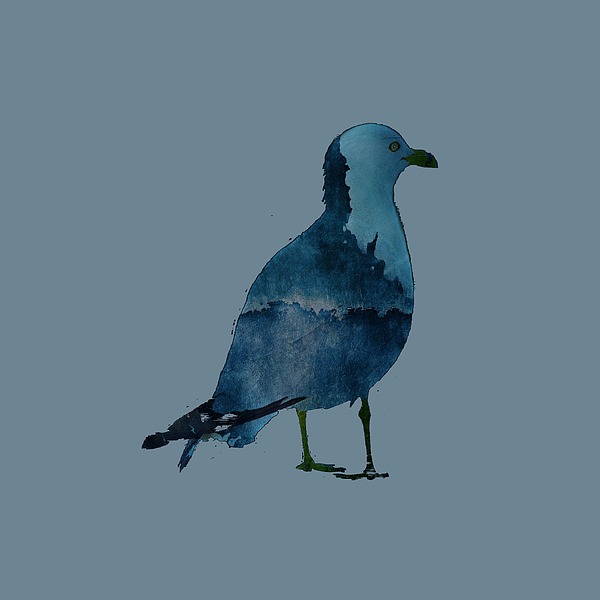 Bluegull Of Art T-shirt Photograph
