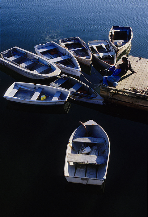 Boats Moored At Dock Photograph