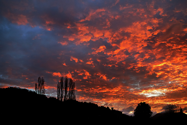 Sunrise Art