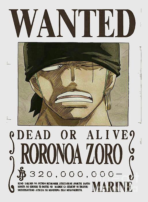 What is the highest bounty in One Piece?