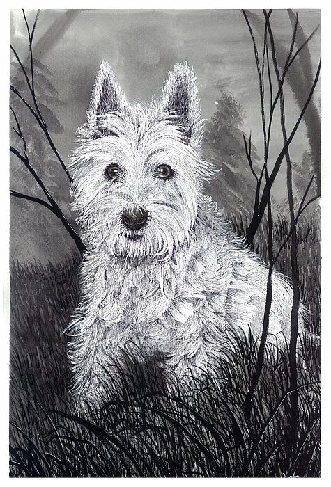Animal Paintings