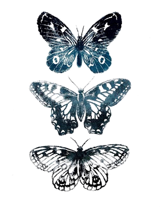 Explore the 32 Best butterfly Tattoo Ideas June 2018  Tattoodo