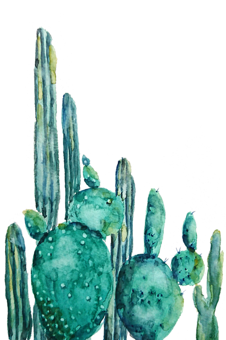 Card Painting Flowers, Cacti and Landscape Watercolor Art Painting