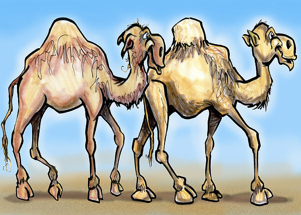 Camels Painting