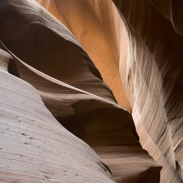 Arizona Art