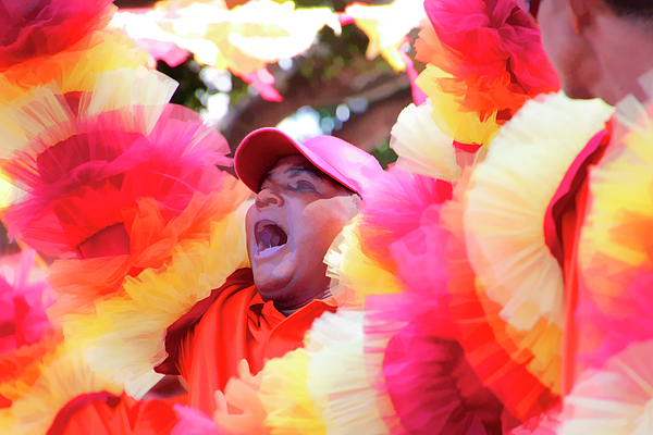 https://images.fineartamerica.com/images/artworkimages/medium/1/carnaval-san-francisco-celebration-pauline-darrow.jpg