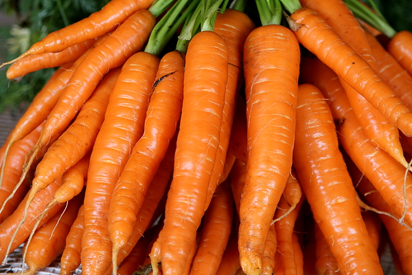 That's My Carrot Jigsaw Puzzle by Warren Photographic - Pixels