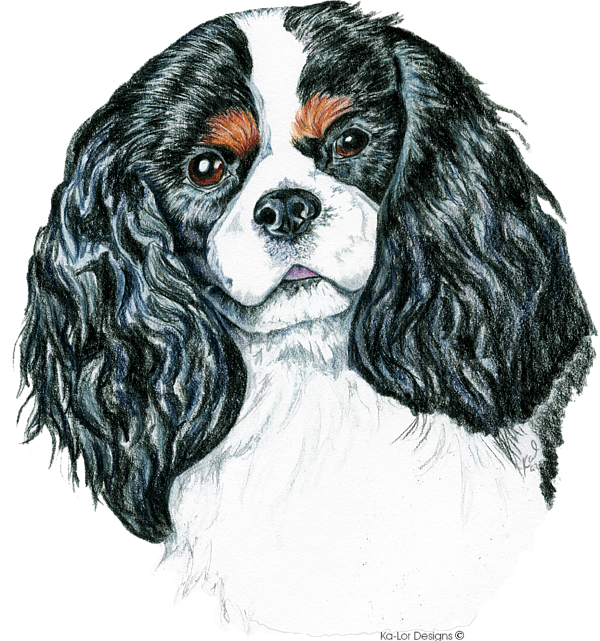 Tri Cavalier King Charles Spaniel Bath Towel Tri Cavalier King Charles Spaniel Bath Towel