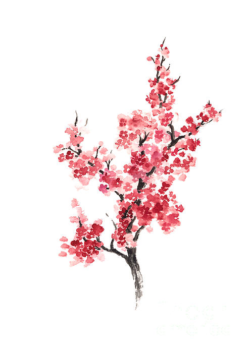 Cherry blossom japanese flowers poster Greeting Card by Joanna Szmerdt