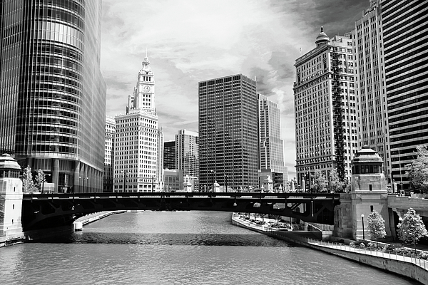Chicago River Buildings Skyline Photograph