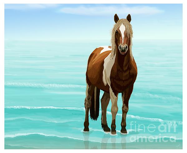 Jacqueline Barden - Chincoteague Pony on the Beach