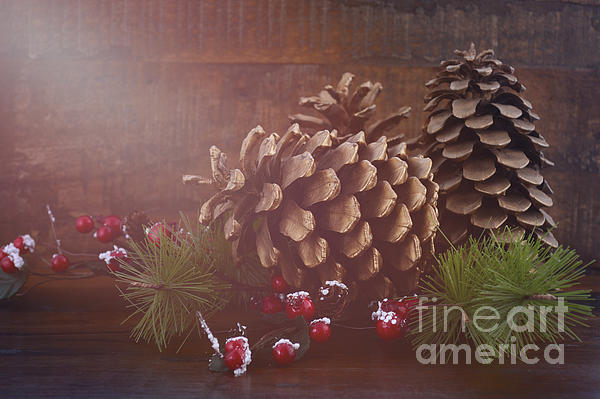 Christmas Pine Cones Decorations Throw Pillow by Milleflore Images