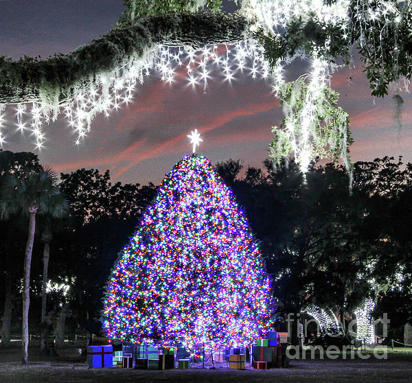 Christmas Tree Jekyll Island Greeting Card For Sale By Scott Moore