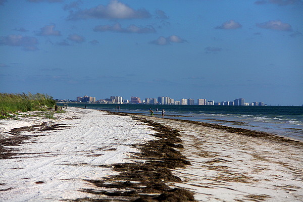 City Of Clearwater Skyline Photograph