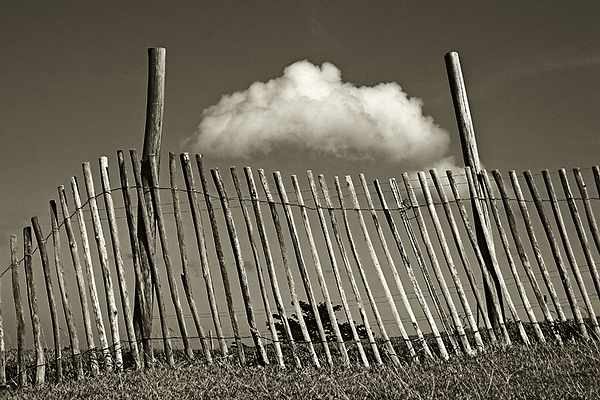 Chester Williams - Cloud And Fence- St Lucia