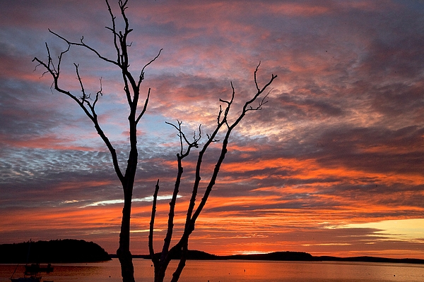 Raymond Uzanas - Coastal Maine sunrise