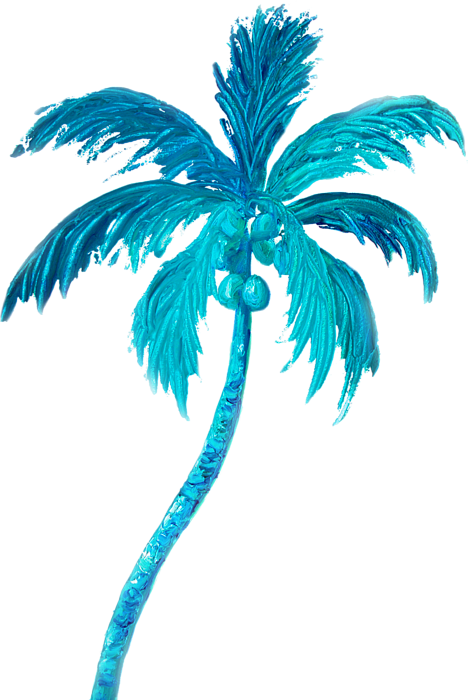 Coconut Tree Photo Pose : Sketch Palm Tree Hand Drawn Tropical Coconut
