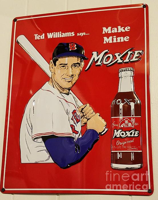 Collectible Ted Williams Moxie Sign Kids T-Shirt by Poet's Eye - Fine Art  America