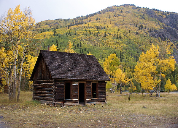 Colorado Cabin Photograph