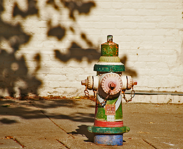 Kathy Flugrath Hicks - Colorful Fire Hydrant