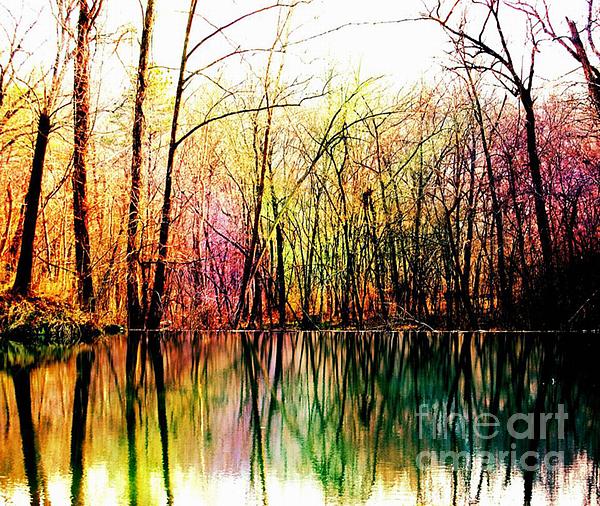 Colorful Reflections Digital Art