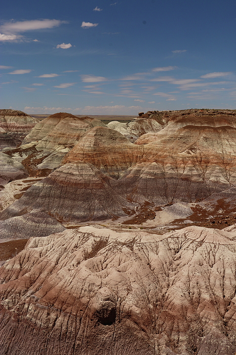 Christiane Schulze Art And Photography - Colors Of The Painted Desert