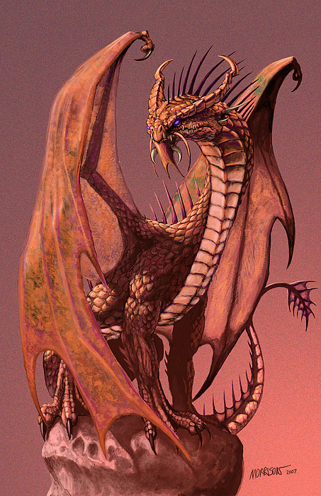 https://images.fineartamerica.com/images/artworkimages/medium/1/copper-dragon-stanley-morrison.jpg