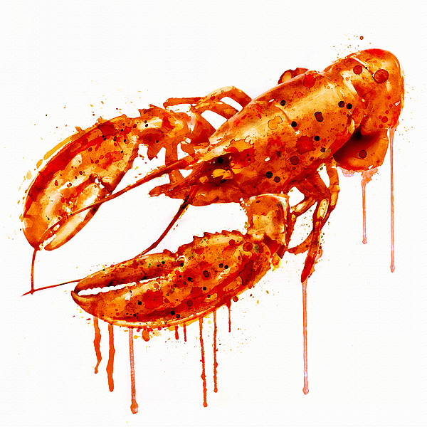 Marian Voicu - Crayfish watercolor painting