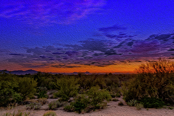 Crescent Sunset Op16 Photograph