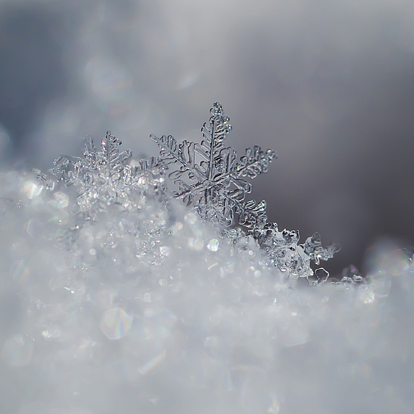 Beth Riser - Crystal Snowflake