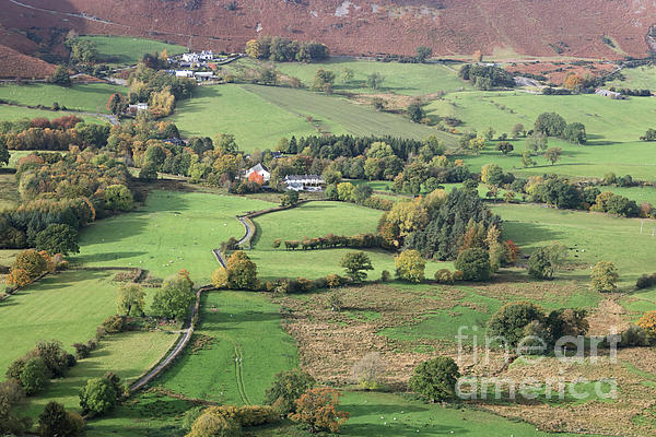 England Art