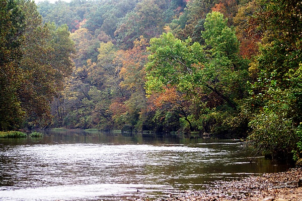 Current River 1 Photograph