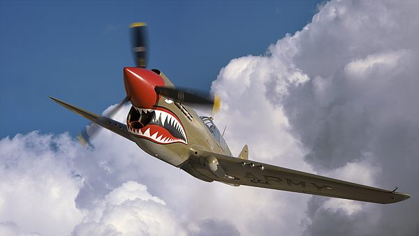 p40 flying tiger wallpaper