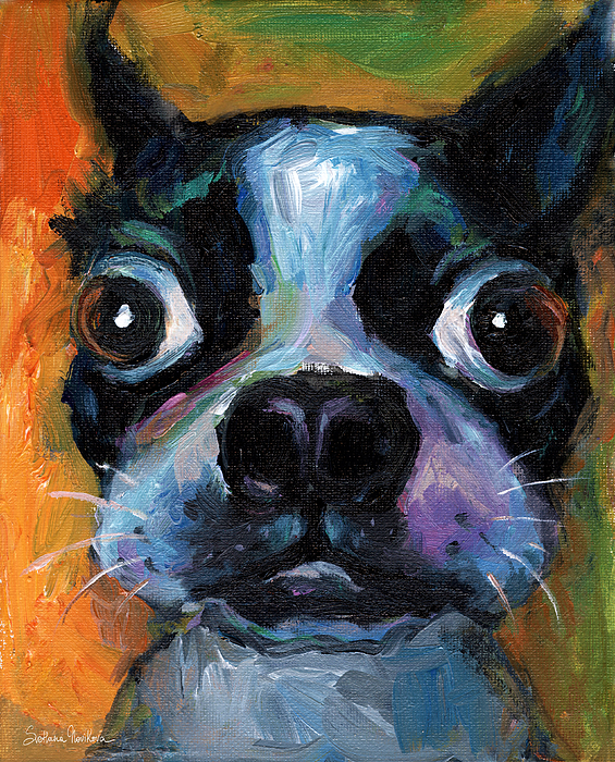 https://images.fineartamerica.com/images/artworkimages/medium/1/cute-boston-terrier-puppy-art-svetlana-novikova.jpg