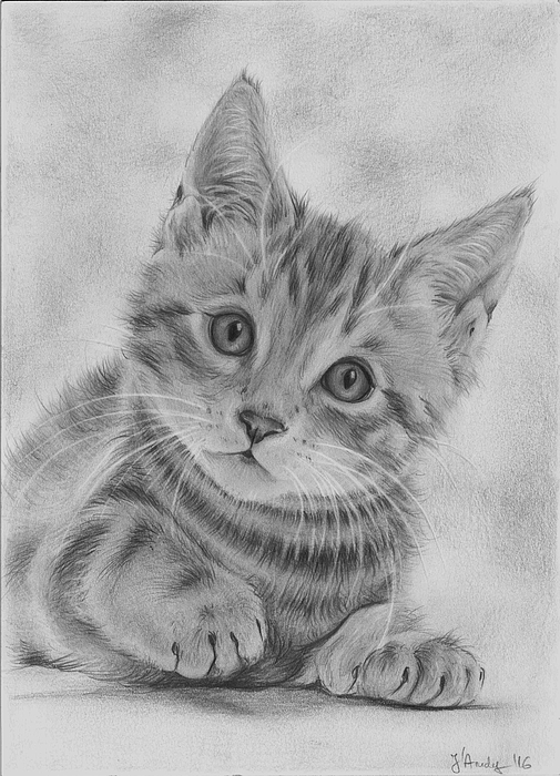 Cute cat Greeting Card by Jandy
