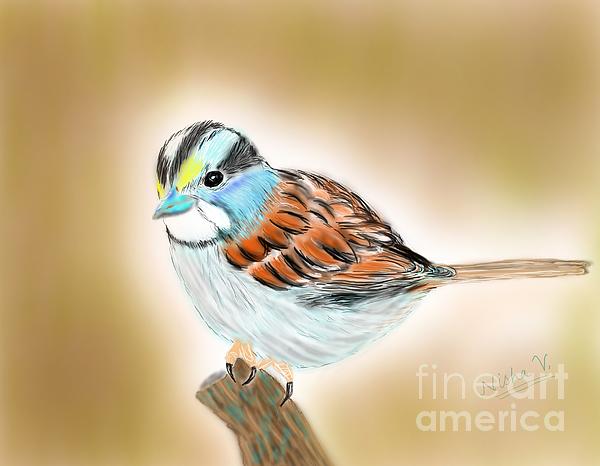 Nishma Creations - Delightful Sparrow