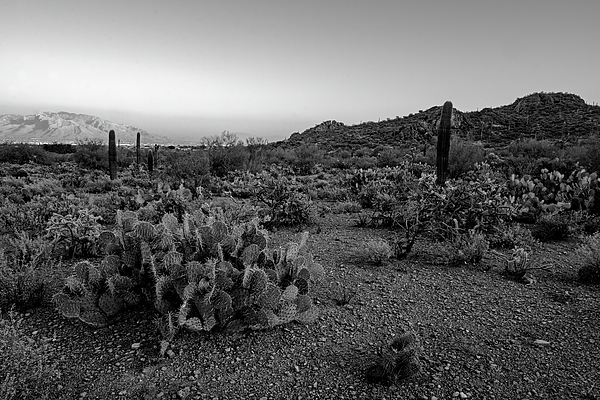 Desert Foothills H30 Photograph
