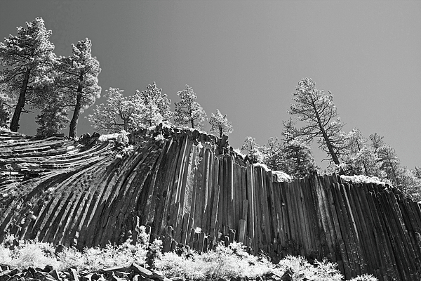 Devils Postpile - Frozen Columns Of Lava Photograph