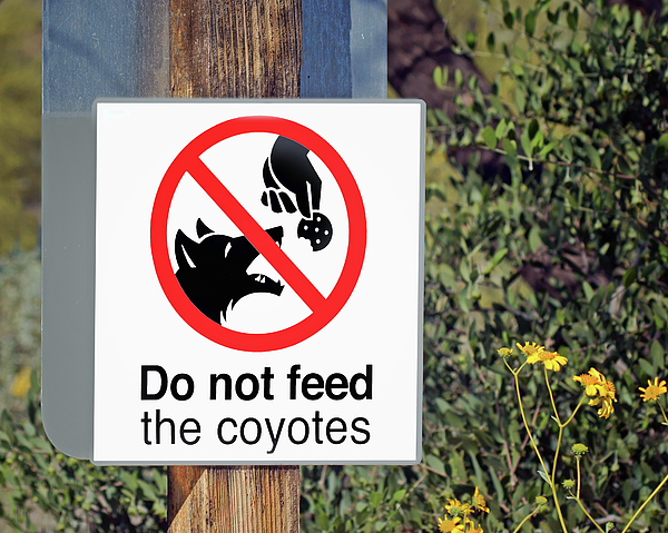 Nikolyn McDonald - Do Not Feed - Coyotes - Sign